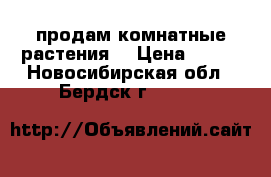 продам комнатные растения. › Цена ­ 100 - Новосибирская обл., Бердск г.  »    